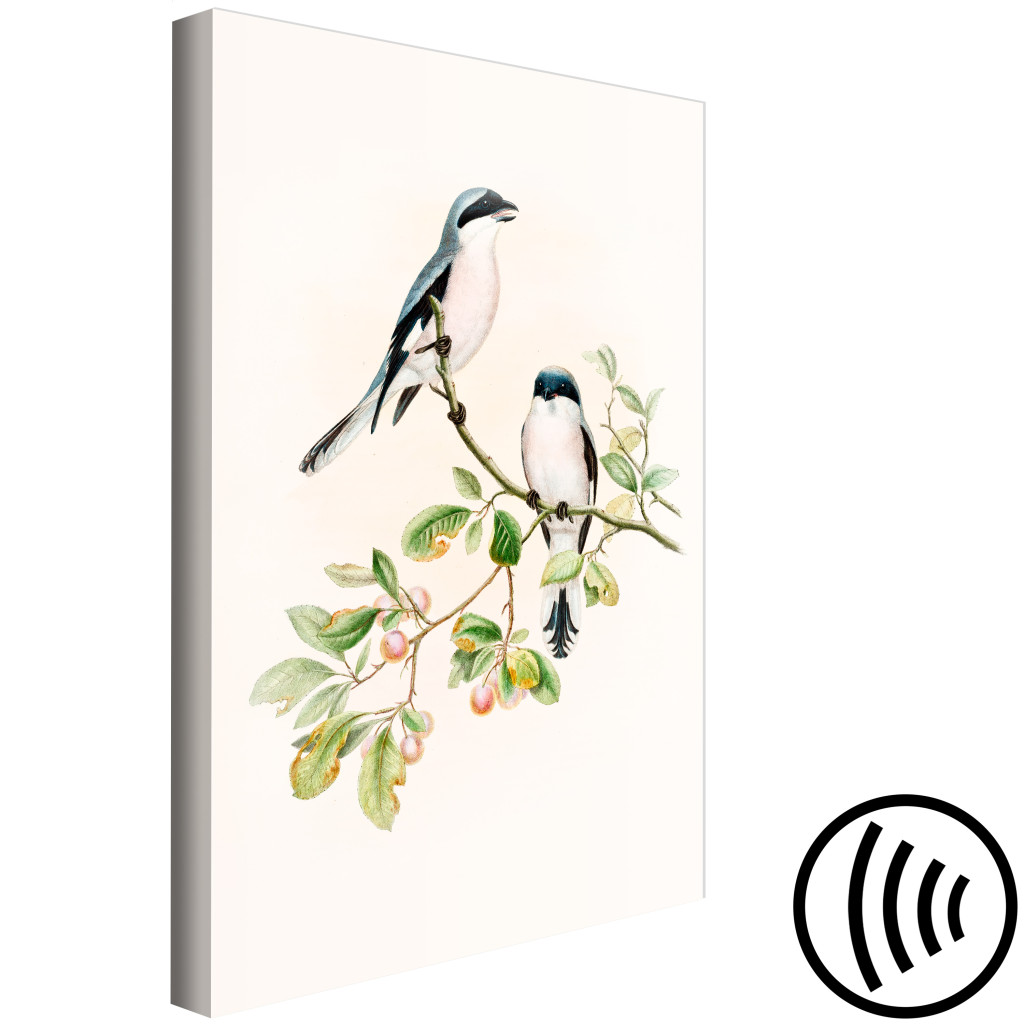 Canvastavla Black-Fronted Shrike - Illustration Of A Pair Of Birds On A Branch