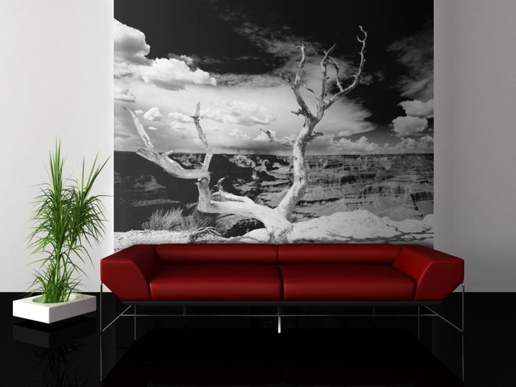 Fototapeta Wielki Kanion - czarno-biały pejzaż z pojedynczym drzewem w centrum 61621