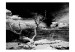 Fototapeta Wielki Kanion - czarno-biały pejzaż z pojedynczym drzewem w centrum 61621 additionalThumb 1