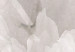 Fototapete Peony Petals - Delicate Interior of a Flower in Shades of Gray 145331 additionalThumb 3
