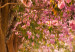 Round Canvas Forest Alley - Photo of Trees With Pink Leaves in the Sunlight 148631 additionalThumb 3