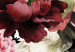 Quadro Peonies - Floral Motif Painted With Watercolor in Warm Colors 149831 additionalThumb 5