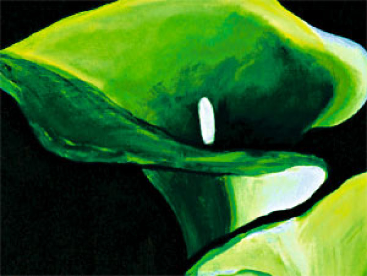 Tableau design Callas smaragdins   48831 additionalImage 2