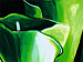 Tableau design Callas smaragdins   48831 additionalThumb 3