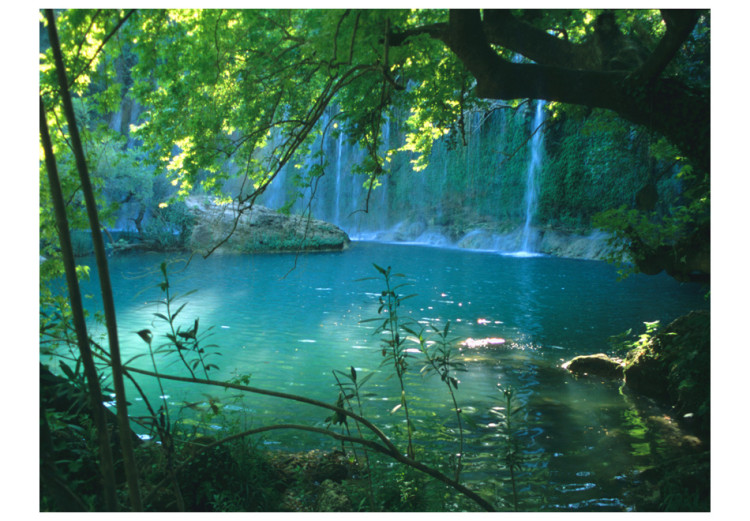 Fototapeta Spokój natury - pejzaż wodospadów spływających do jeziora wśród drzew 60031 additionalImage 1