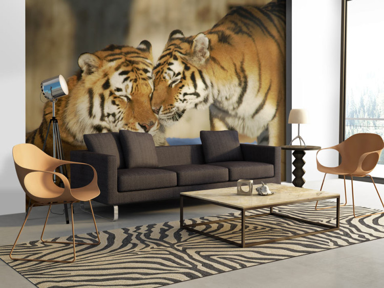 Wall Mural Love of Animals in Nature - Affectionate tiger pair on a blurred background 61331
