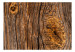 Fototapeta Stare drzewo - brązowe tło o teksturze surowej kory z nierównościami 91631 additionalThumb 1