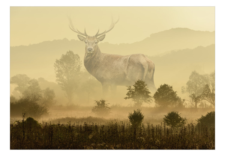 Wall Mural Deer in the morning mist - mountain landscape with a large deer on the meadow 135141 additionalImage 1