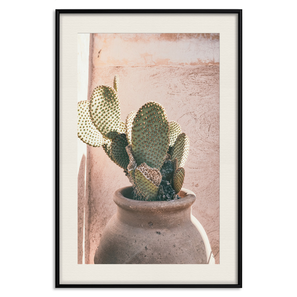 Plakat: Kaktus W Donicy - Iglasta Roślina W Glinianym Naczyniu