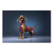 Tavla AI Dachshund Dog - Smiling Animal in Colorful Disguise - Horizontal 150241 additionalThumb 7