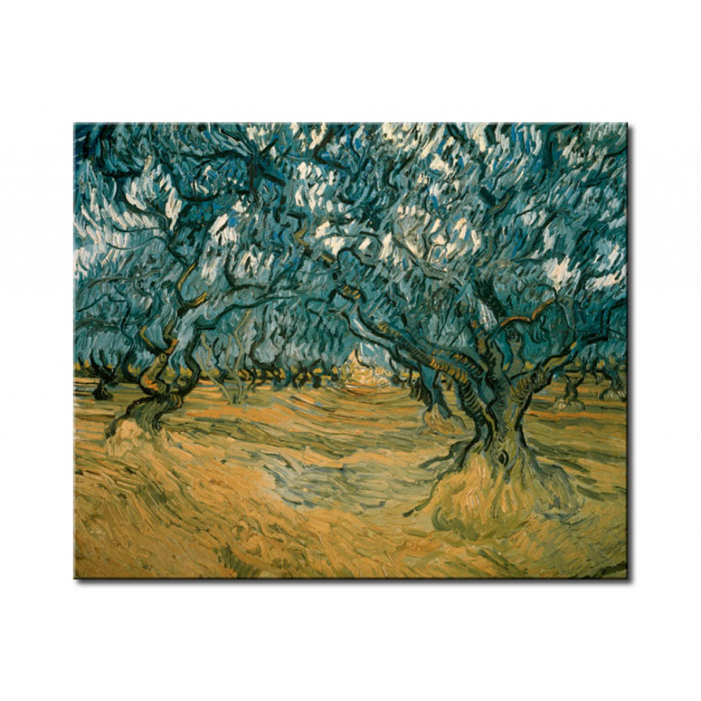 Schilderij  Vincent Van Gogh: Olive Trees