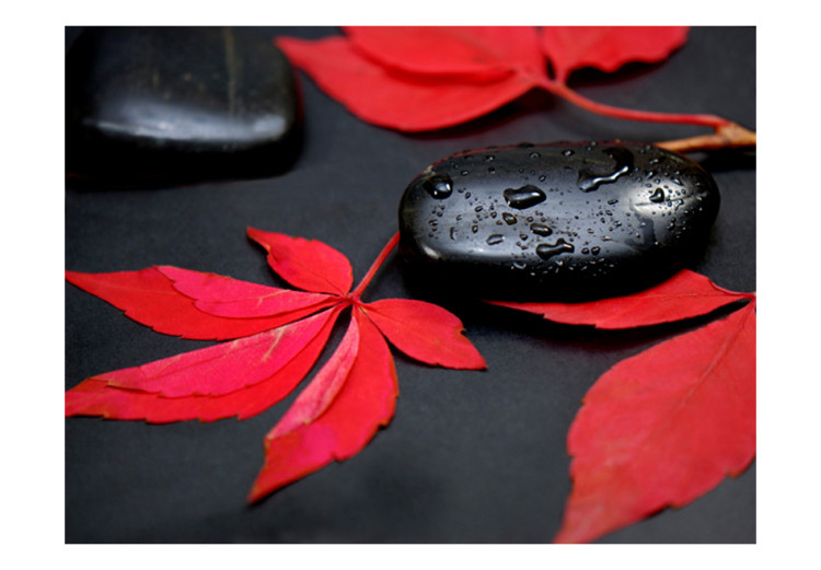 Carta da parati moderna Intensità dei colori - foglie rosse e pietre nere in gocce 59841 additionalImage 1