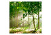 Carta da parati moderna Bosco - estate e paesaggio boschivo con alberi pieni di foglie verdi 60541 additionalThumb 1