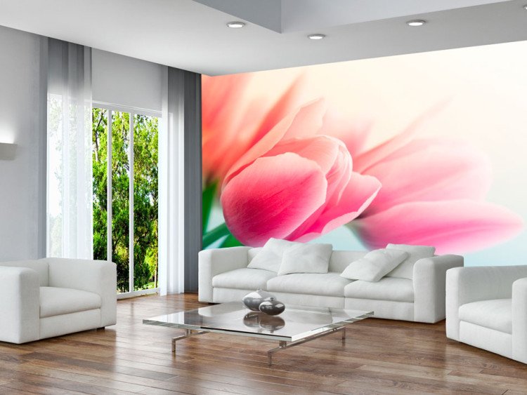 Wall Mural Spring and Tulips - Delicate Macro Shot of Flowers on a Bright Background 60641