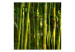 Mural Motivo Japonês - Floresta no Estilo Oriental com Bambus no Centro 61441 additionalThumb 1