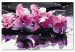 Desenho para pintar com números Purple Orchid 107151 additionalThumb 4