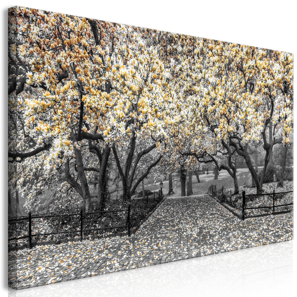 Duży Obraz XXL Park Magnolii - Pomarańczowy II [Large Format]