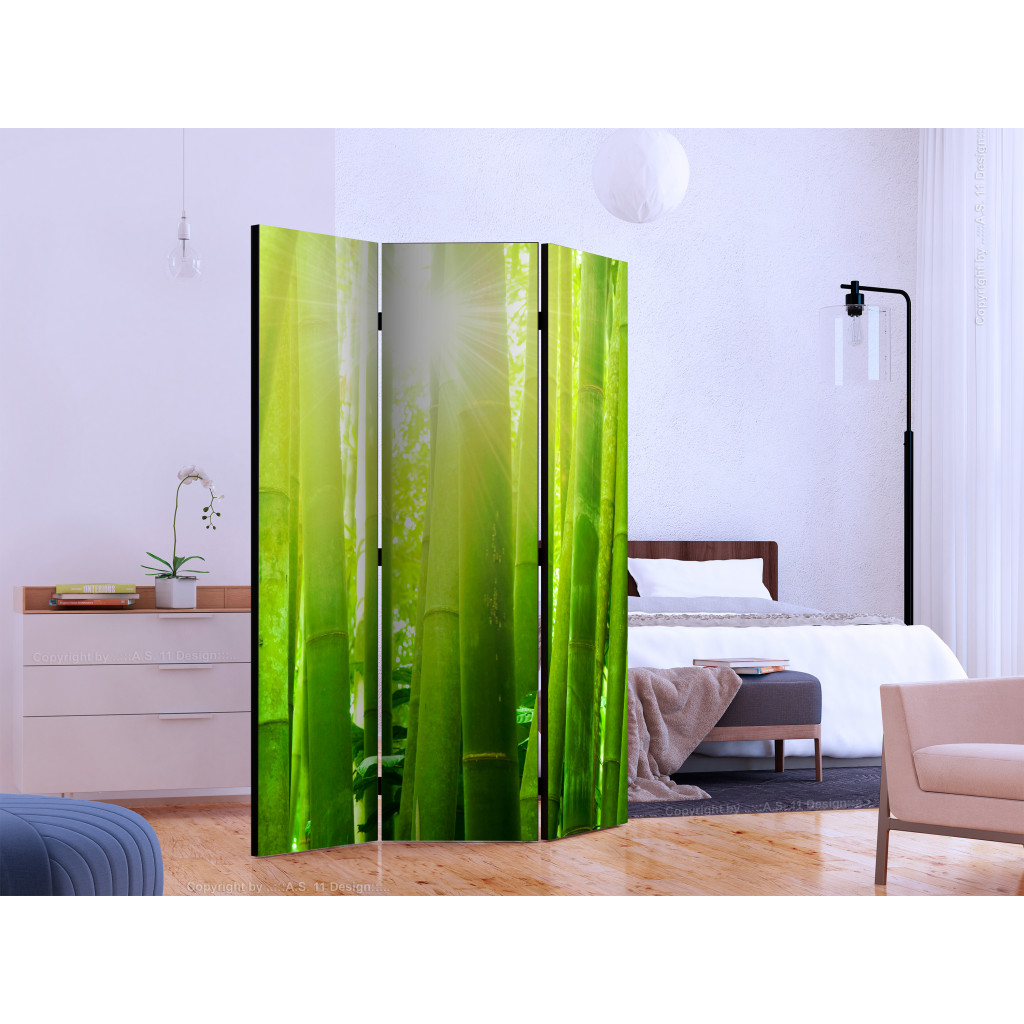 Biombo Sun And Bamboo [Room Dividers]