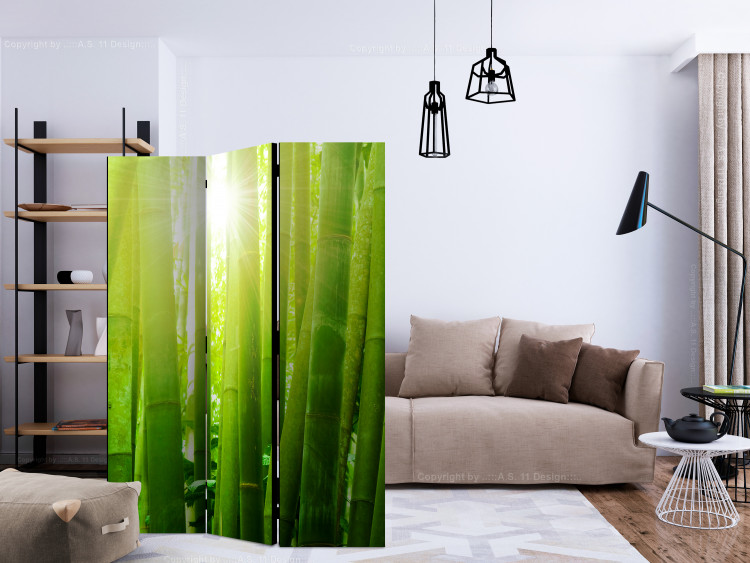 Paravento separè Sun and bamboo [Room Dividers] 133251 additionalImage 4