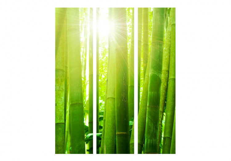 Parawan pokojowy Słońce i bambus [Room Dividers] 133251 additionalImage 3