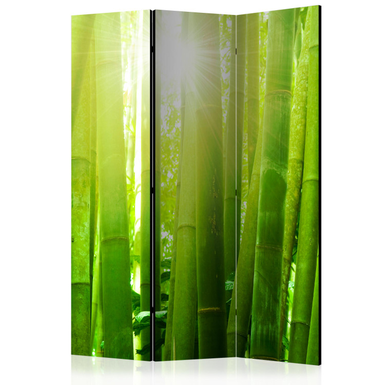 Słońce i bambus [Room Dividers]