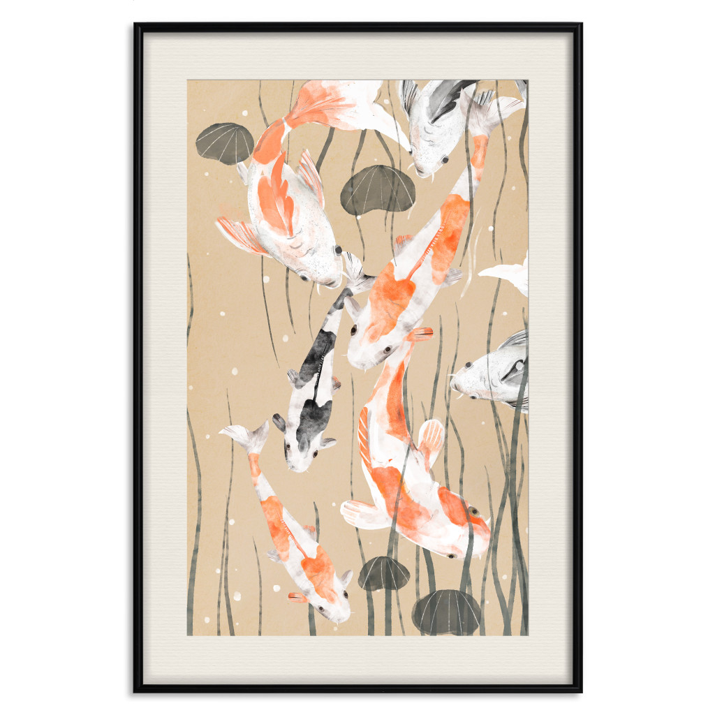 Plakat: Karpie Koi - Pływające Malowane Japońskie Karpie Wśród Wodorostów