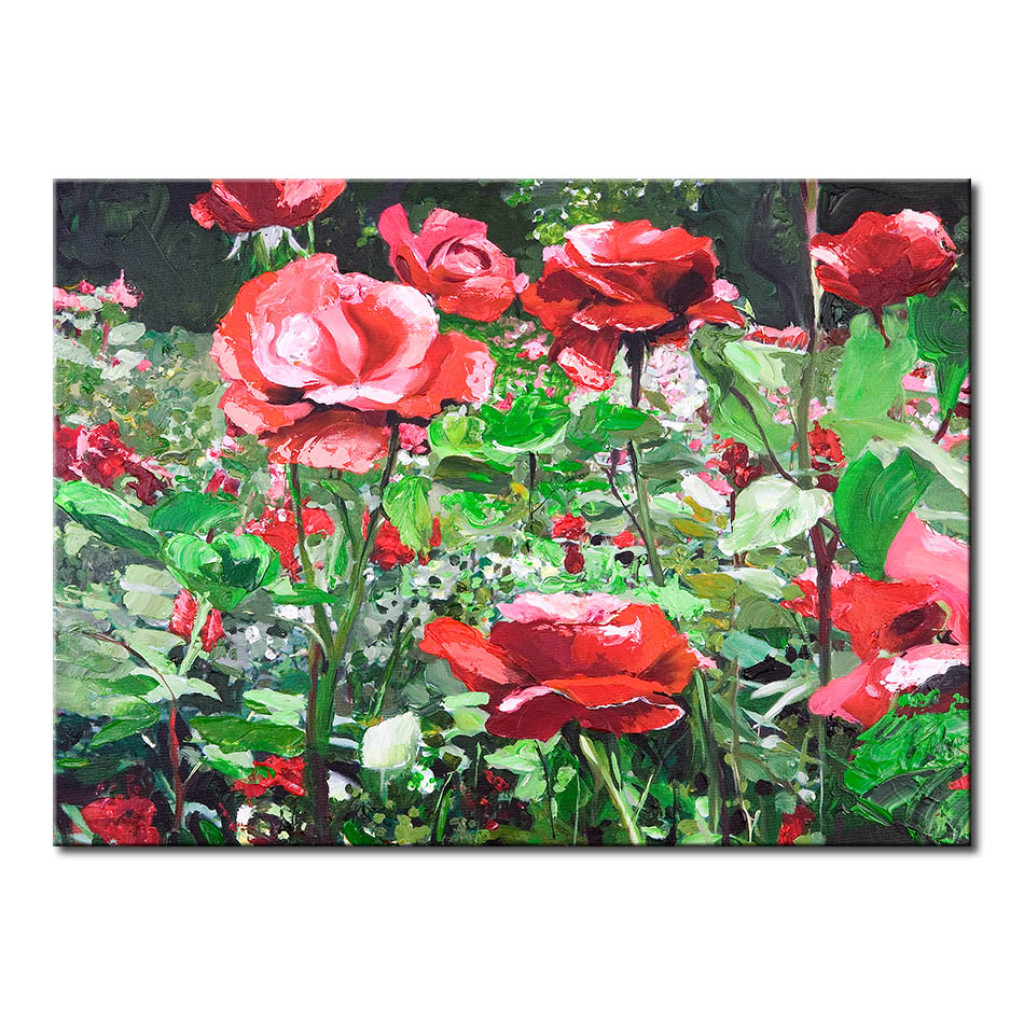 Målning Rosenträdgård På Sommaren (1 Del) - Blommigt Motiv Med Natur Och Löv