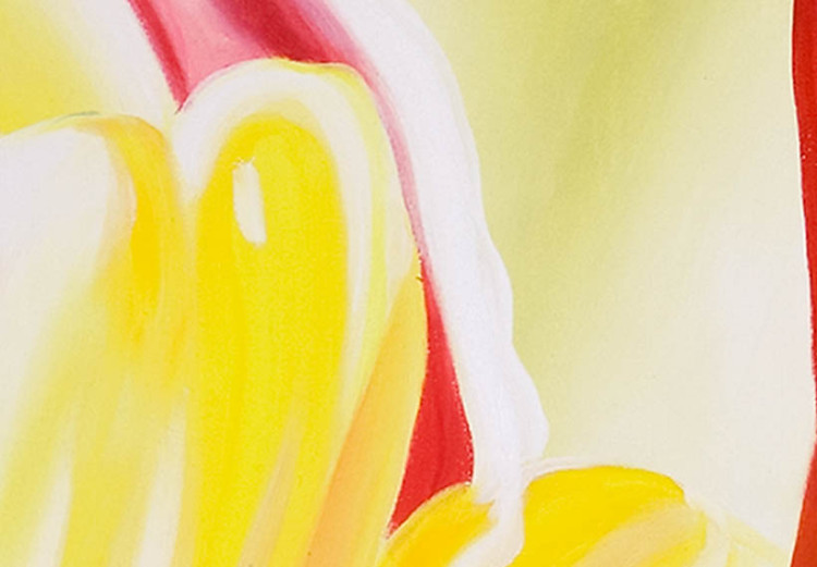 Quadro contemporaneo Freschi tulipani (1 parte) - motivo naturale con fiori colorati 47451 additionalImage 4
