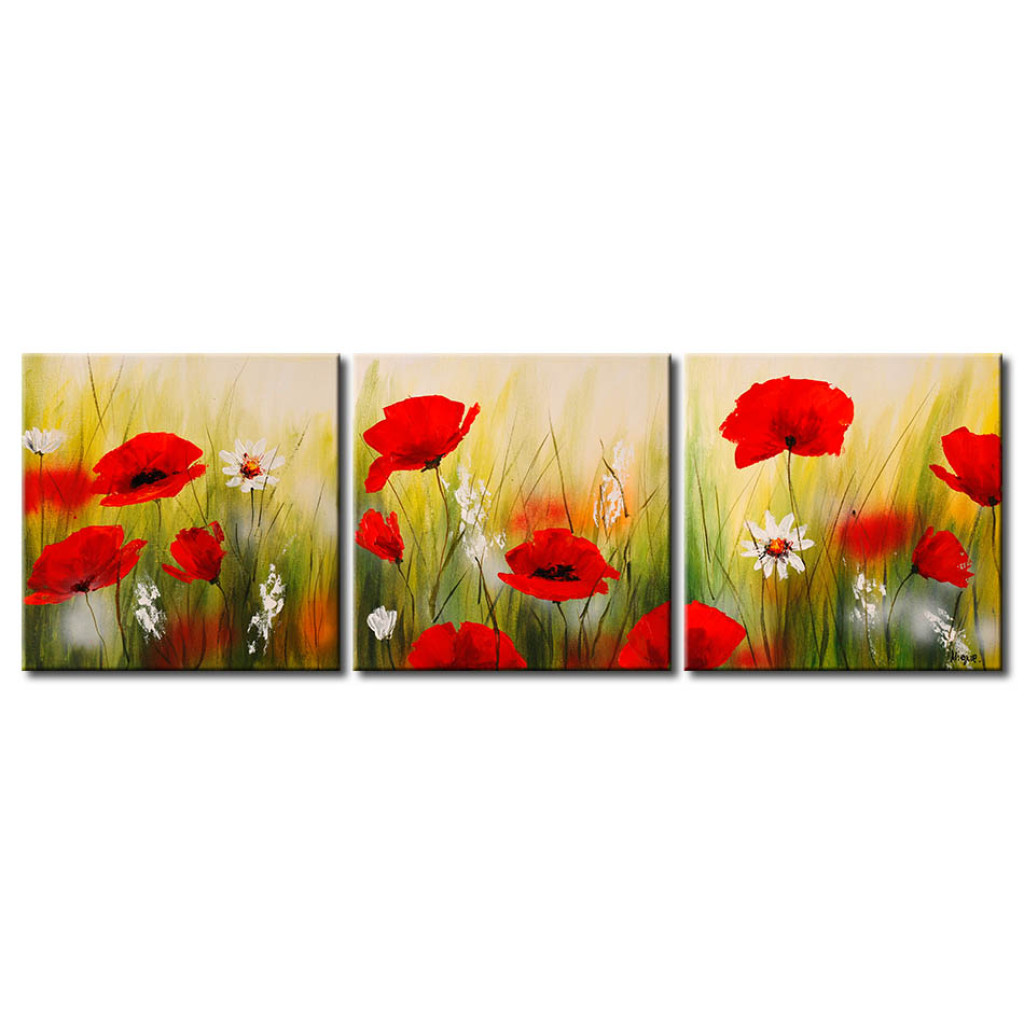 Pintura Em Tela Papoilas E Margaridas (3 Partes) - Um Campo Colorido De Flores Com Efeito De Orvalho