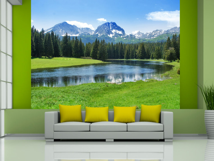 Wall Mural Durmitor National Park Landscape - mountain landscape with forest 59951