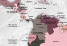 Tablero decorativo en corcho Pink Continents [Cork Map] 92251 additionalThumb 6