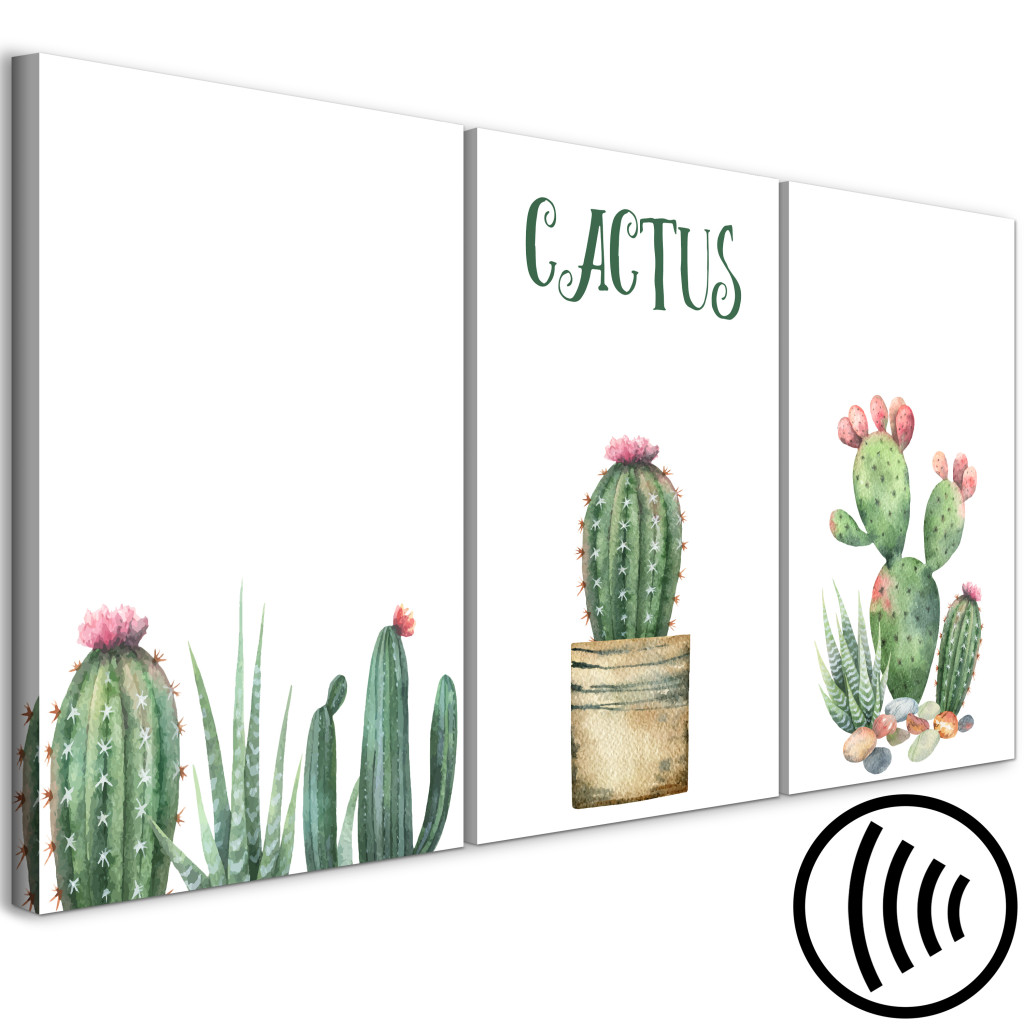 Schilderij  Minimalistische : Three Cacti - Vereenvoudigde, Vrolijke Afbeeldingen Van Groene Planten