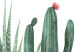 Obraz Trzy kaktusy - uproszczone, wesołe grafiki zielonych roślin 108561 additionalThumb 4