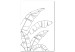 Obraz Czarne kontury liści bananowca - biała, minimalistyczna abstrakcja 128061