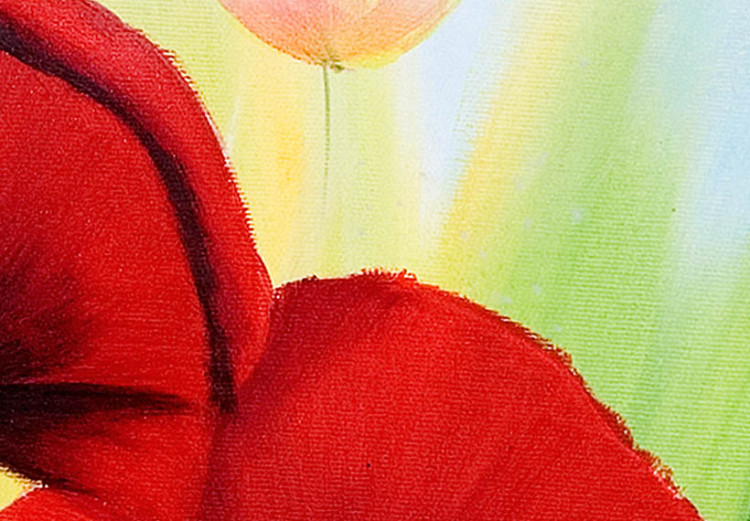 Konst Röda vallmo (1 del) - färgglatt blommigt motiv med grönt gräs 47061 additionalImage 3