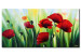 Konst Röda vallmo (1 del) - färgglatt blommigt motiv med grönt gräs 47061