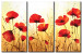 Bild auf Leinwand Goldene Mohnblumenwiese (3-teilig) - Rote Blumen auf Flecken 48561