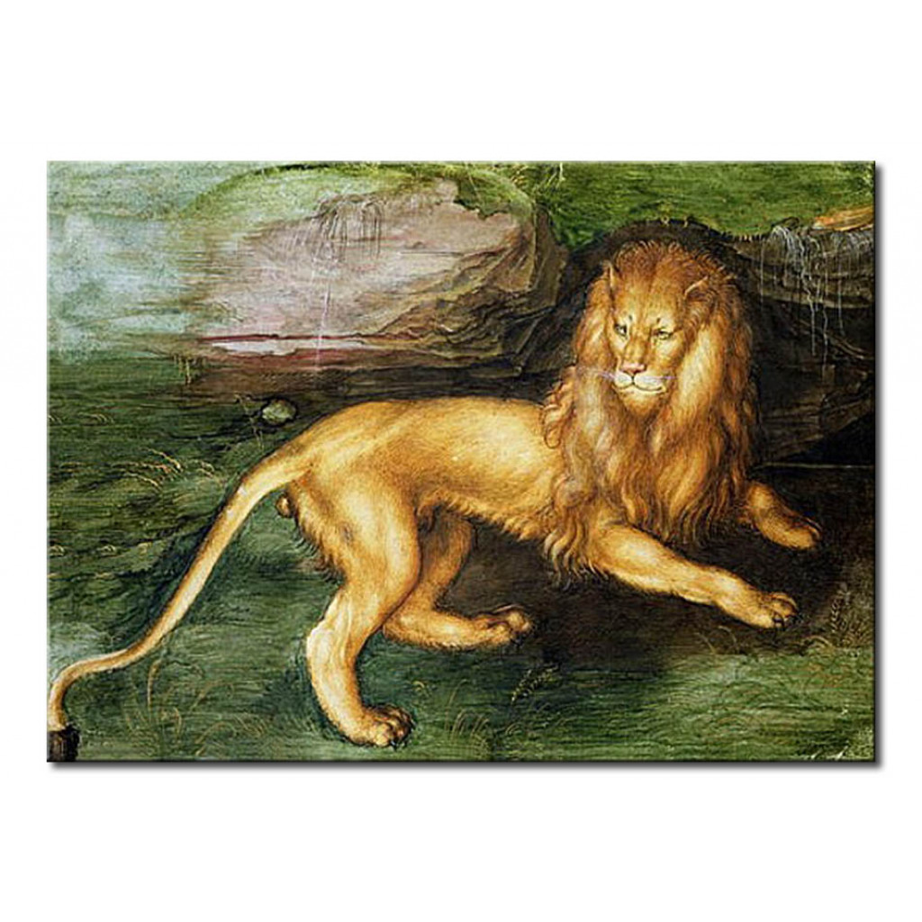 Schilderij  Albrecht Dürer: Lion