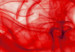 Obraz Czerwień i biel 56061 additionalThumb 3