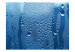 Fototapeta Krople wody na niebieskiej szybie 61061 additionalThumb 1