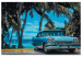 Paint by number Car under Palm Trees 114171 additionalThumb 7