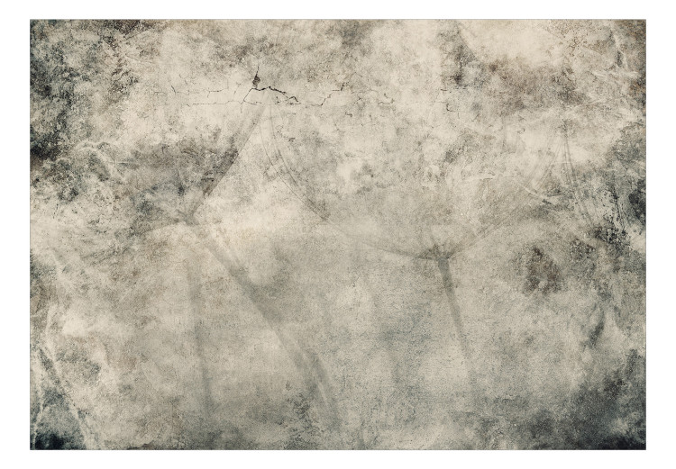Fototapeta Szare dmuchawce – kompozycja z motywem roślinnym na betonowym tle 138471 additionalImage 1