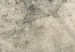 Carta da parati Dente di leone grigio - composizione con un motivo vegetale  138471 additionalThumb 3