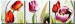 Cuadro moderno Tulipanes al sol (3 piezas) - flores multicolores en fondo uniforme 48671