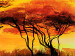 Quadro pintado savana africana - um pôr-do-sol cheio de cores quentes 49271 additionalThumb 2