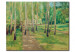 Wandbild Wannseegarten mit Birkenallee 53371