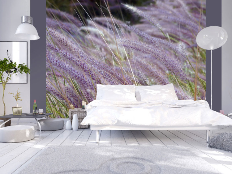 Wall Mural Field of Tall Grass - Shot of a Meadow with Purple Lavender-Like Plants 60471