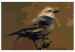 Cuadro para pintar con números Bird on Branch 114881 additionalThumb 7