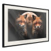 Wall Poster Forest Couple - Two Foxes and the Moon Against the Night, Starry Sky 144781 additionalThumb 8