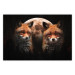 Wall Poster Forest Couple - Two Foxes and the Moon Against the Night, Starry Sky 144781
